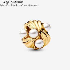 Pandora Abstract Waves Charm